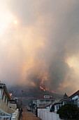 Summer wildfire, Western Cape, South Africa