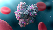 Albumin nanoparticle drug delivery, illustration