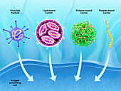 Carriers for mRNA vaccines, illustration