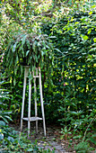 Hoher Pflanzenständer mit Farn im üppigen Garten