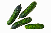 Four small cucumbers against a white background