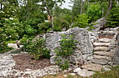 Stone path and natural stone steps in a lush garden with trees and shrubs