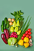Assorted vegetables on a light green background