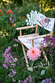 Ornamental garden with chair and flowering dahlia (Dahlia)