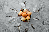 Brown eggs in a clay shell with chicken feathers