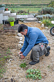 Gravel garden design - preparing the edging