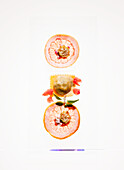 Grapefruit-Scheiben und Ravioli mit Garnitur