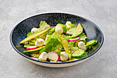 Salad with lettuce, avocado, radish and mozzarella dressed with sesame