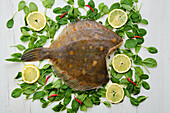 Raw flounder on spinach with lemon slices