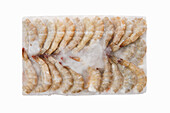 Raw frozen king prawns in a block of ice