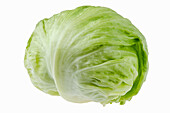 Iceberg lettuce on a white background