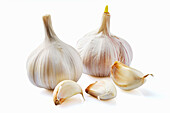 Garlic bulbs and garlic cloves