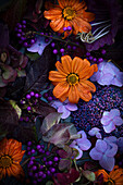 Autumnal still life with orange Mexican sunflower (Tithonia), purple bell vine (Cobaea), hydrangea (Hydrangea) and callicarpus (Callicarpa)