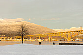 Ironworkers Memorial Second Narrows Crossing über den Burrard Inlet mit North Shore Mountains im Hintergrund, Blick vom New Brighton Park, Vancouver, British Columbia, Kanada