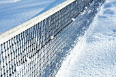 Tennis net and snow