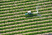 France, Drome, Grignan,wine, Vineyard, aerial view