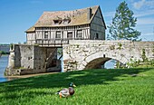 Frankreich, Eure, Vernon, die alte Mühle auf der alten Brücke über die Seine
