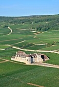 Frankreich, Cote d'Or, Burgund, von der UNESCO zum Weltkulturerbe erklärt, der Weinberg und das Schloss des Clos Vougeot (Luftaufnahme)