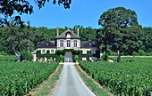 France, Cote d'Or, Burgundy climates listed as World Heritage by UNESCO, the domain of Ardhuy, Clos Langres