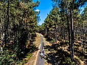 France, Gironde, Val de L'Eyre, Parc Naturel Régional des Landes de Gascogne, cycle tourism