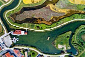 Frankreich, Charente-Maritime, Insel Oleron, Hafen von Salines, Grand Village (Luftaufnahme)