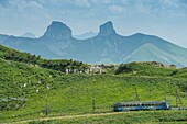 Schweiz, Kanton Waadt, Montreux, die Zahnradbahn zum Felsen von Naye in den Weiden unter dem Ankunftsbahnhof und den Weichen von Tour de Mayen und Tour d'Aï