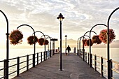 Switzerland, Canton of Vaud, Morges, the embankment flowered at sunrise and man with his dog