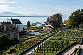Schweiz, Kanton Waadt, Nyon, die Gärten des Schlosses beherrschen den Genfersee