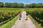 Switzerland, Canton of Vaud, Nyon, couple riding electric bike in the vineyard of Duillier