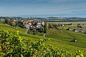 Schweiz, Kanton Waadt, Nyon, der Weinberg und das malerische Dorf Féchy