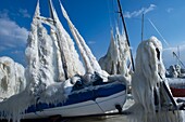 Schweiz, Kanton Waadt, Versoix, am Ufer des Genfer Sees, mit Eis bedeckte Segelboote bei sehr kaltem Wetter
