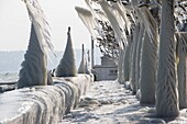 Schweiz, Kanton Waadt, Versoix, Genferseeufer bei sehr kaltem Wetter, Eisdecke auf den Bäumen des Ufers