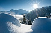Frankreich, Haute Savoie, Chablais-Massiv, Samoëns, Grand Massif, Schneebuckel bis zum Saix-Plateau, die Höhenstation und der Crêt des Parements