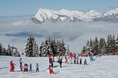 France, Haute Savoie, massif Chablais, Samoens, Grand Massif, on the Saix plateau children's ski lessons