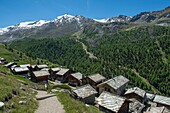 Schweiz, Wallis, Zermatt, auf den Weiden die Holzchalets des Weilers Findeln
