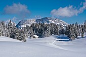 Frankreich, Haute Savoie, Bornes-Massiv, Plateau des Glieres, Langlaufloipe auf dem nordöstlichen Teil des Plateaus und die Felsen von Leschaux