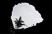Frankreich, Haute Savoie, Bornes-Massiv, Thorens Glieres, am Fuße eines Felsens, der riesige Bogen des Eingangs der Diau-Höhle