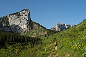 Frankreich, Haute Savoie, Bornes-Massiv, Plateau Glieres, Wanderer im Tal von Pré de Vaudé und dem Felsen Parnal