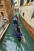 Italien, Venetien, Venedig, von der UNESCO zum Weltkulturerbe erklärt, Stadtteil San Marco, Gondel auf dem Rio di San Provolo und Fassaden