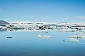 Island, Südliche Region, Jokulsarlon-Gletscher