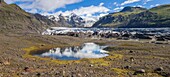 Iceland, Southern Region, Sulujokull glacier reflection