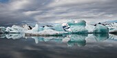 Island, Südliche Region, Jokulsarlon-Gletscher