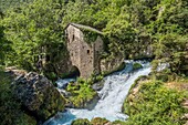 Frankreich, Gard, Blandas, Kreis von Navacelles, die Wassermühle von La Foux am Wiederauflauf des Flusses Vis, die Causses und die Cevennen, mediterrane agro-pastorale Kulturlandschaft, von der UNESCO zum Welterbe erklärt
