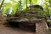 Frankreich, Meurthe et Moselle, oberhalb Badonviller und Celles sur Plaine, Col de la Chapelotte, Grotte des Poilus, Rettungsstation während des Ersten Weltkriegs