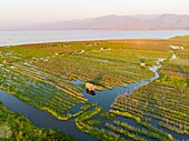 Myanmar (Burma), Shan-Staat, Inle-See, Kela Floating Gardens (Luftaufnahme)
