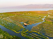 Myanmar (Burma), Shan State, Inle Lake, Kela Floating Gardens (aerial view)