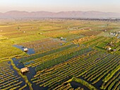 Myanmar (Burma), Shan State, Inle Lake, Kyaung Nga Hpe Monastery or Nga PheChaung (aerial view)