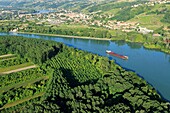 Frankreich, Isere, Chonas L'Amballan, Sensibles Naturgebiet ??Gerbay, Rhone, Condrieu im Hintergrund (Luftaufnahme)