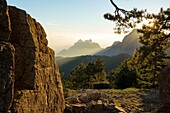 Frankreich, Corse du Sud, Quenza, Nadeln von Bavella vom Col de Bavella