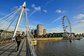 United Kingdom, London, from Hungerford Bridge on the Thames, London Eye, London Eye, Parliament and Big Ben
